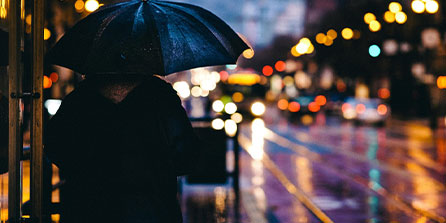 世界杯直播观看软件-六连胜！黄蜂未来5场：热火、太阳、开拓者、国王、马刺